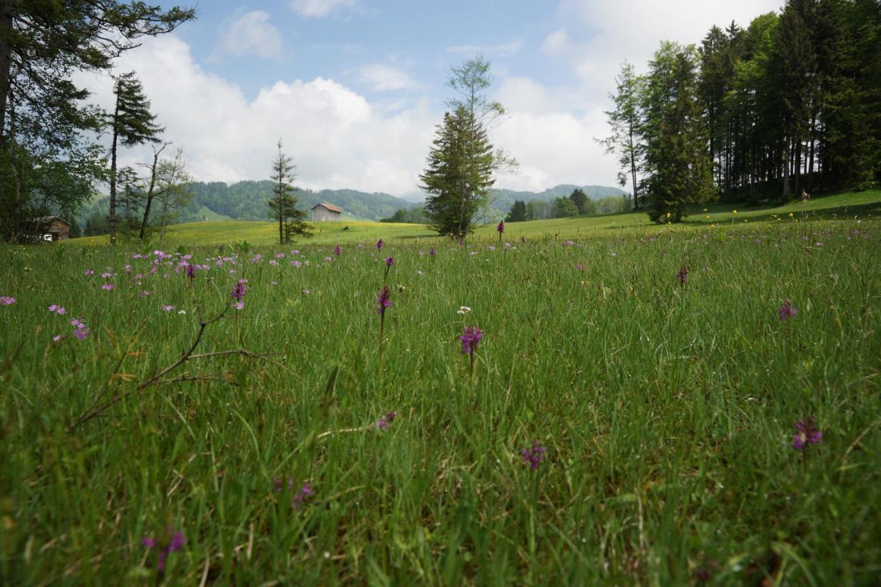 Berghof Voeglerbrand Farm stay *