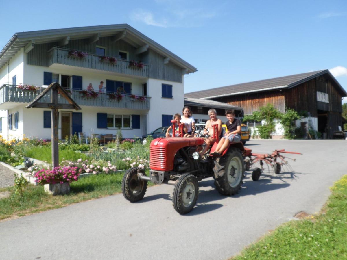 Berghof Voeglerbrand Farm stay Andelsbuch