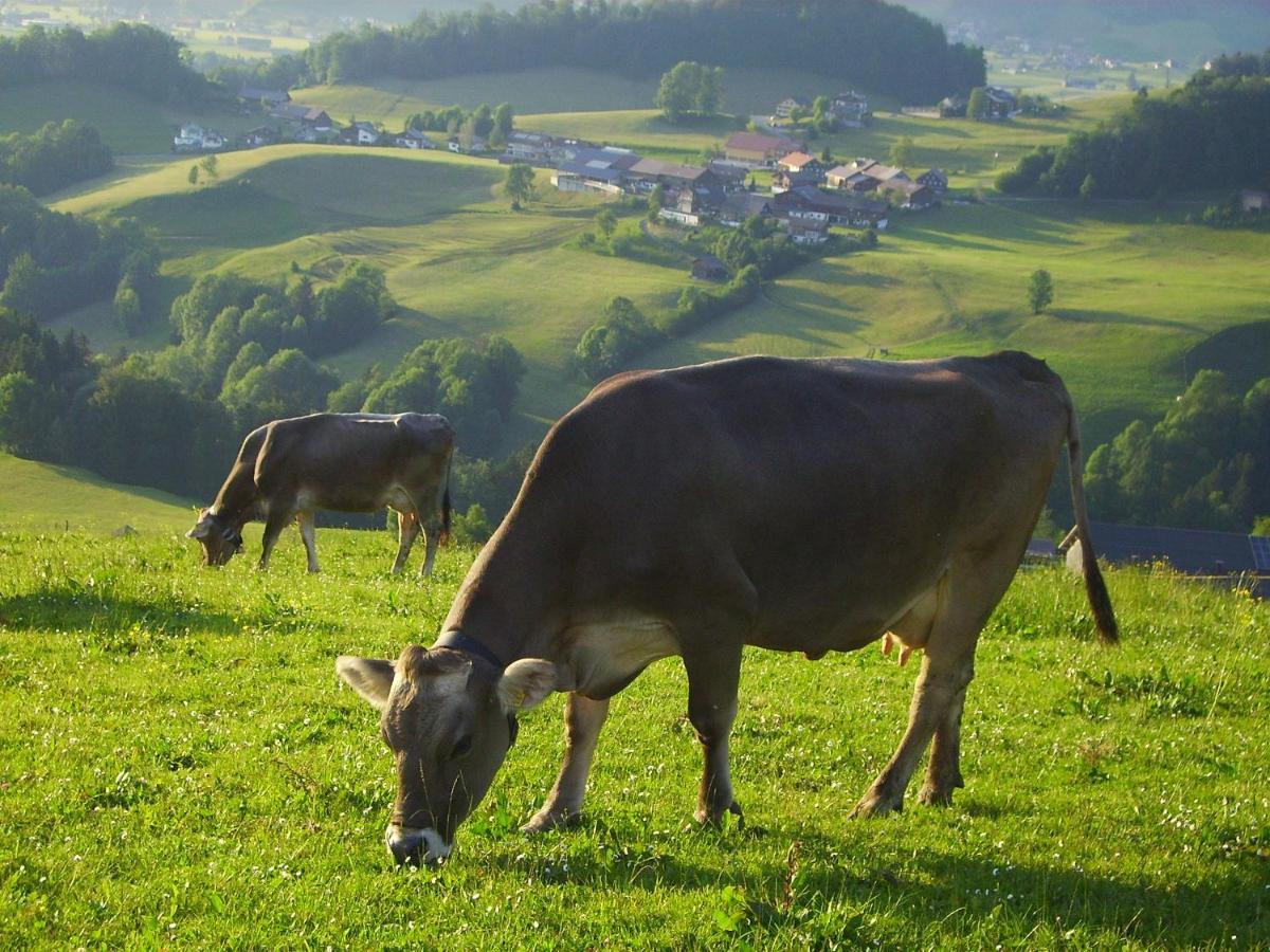 Farm stay Berghof Voeglerbrand *