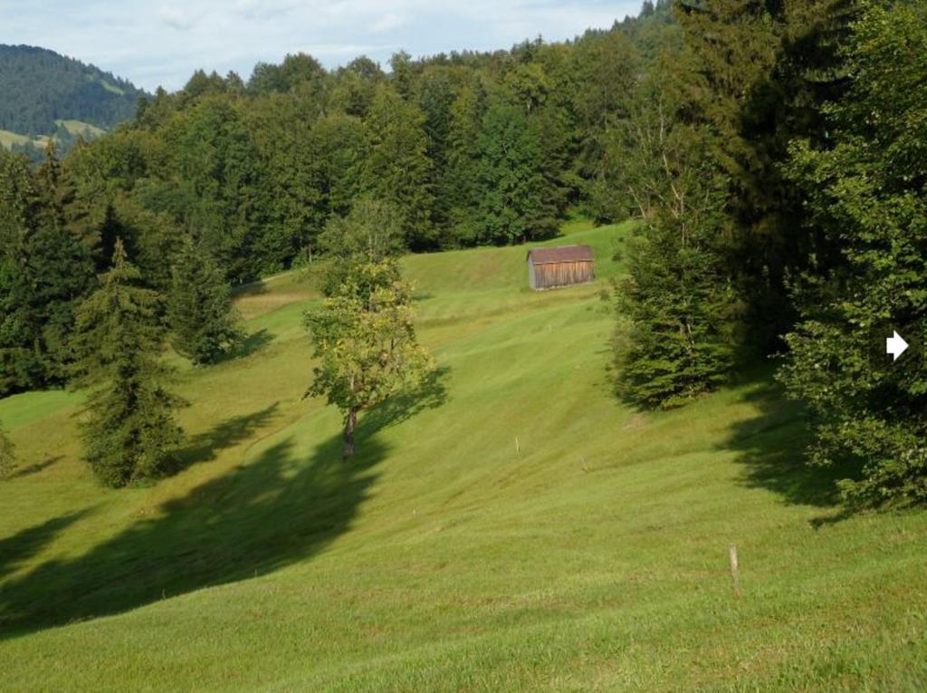Berghof Voeglerbrand Farm stay